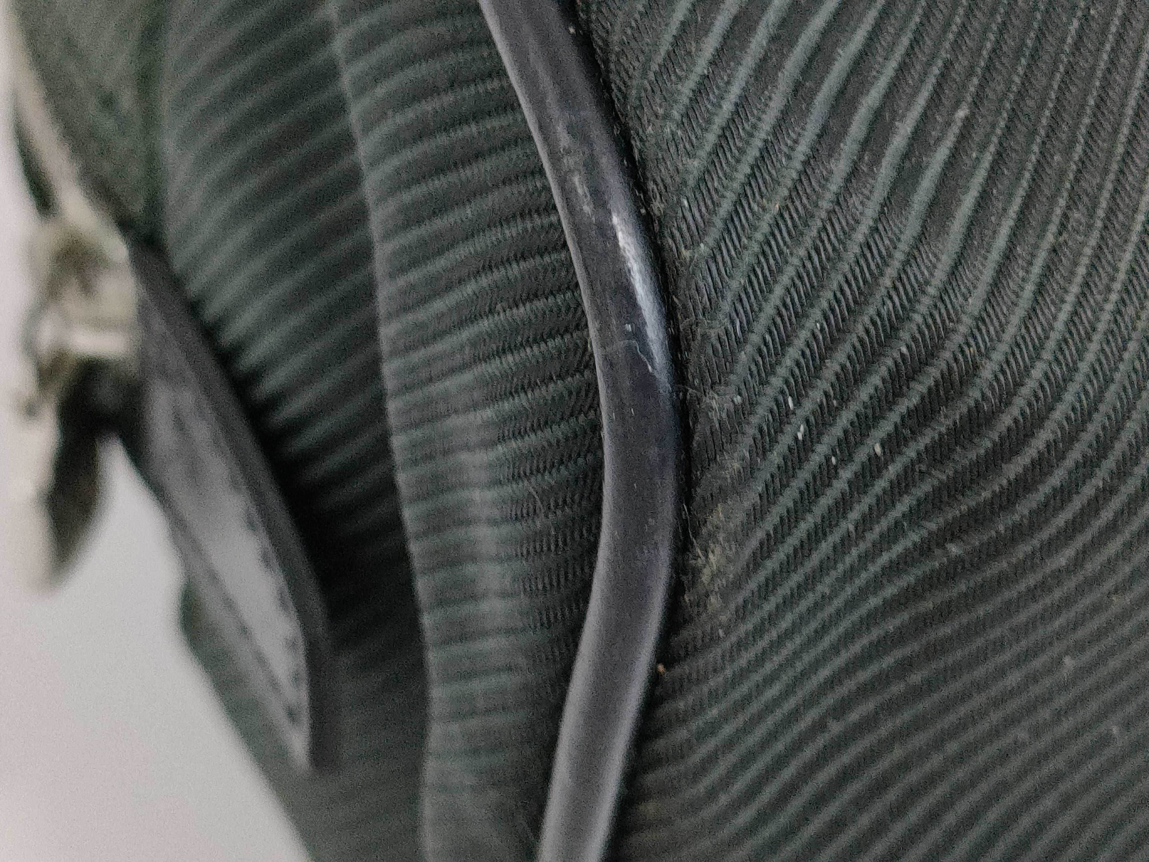 【水曜終了】(10229_0430)LOUIS VUITTON タイガ パナマ バッグ