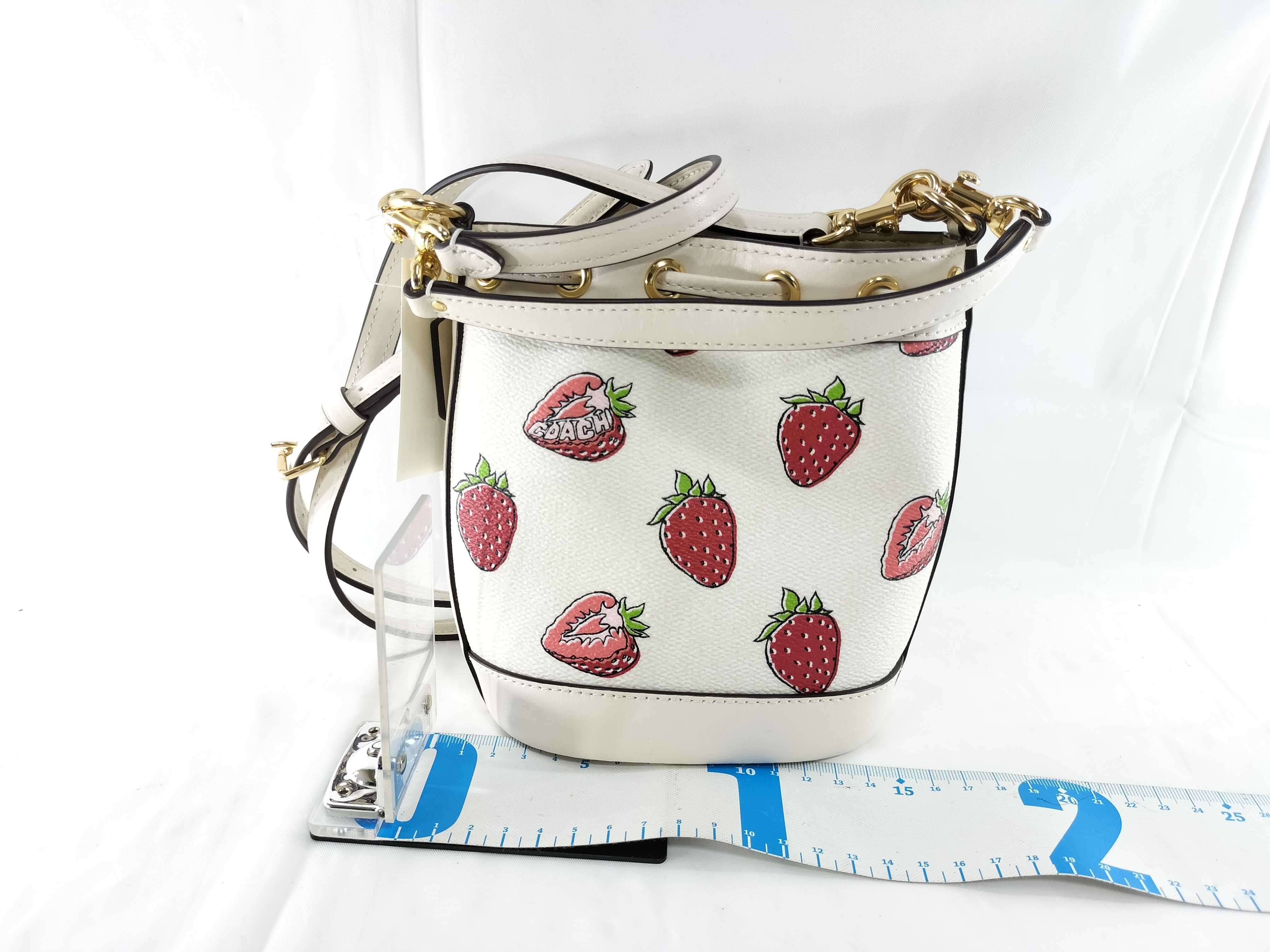【水曜終了】(10698_0071)COACH CAL11 ミニバケット ストロベリープリント 2WAY ショルダーバッグ
