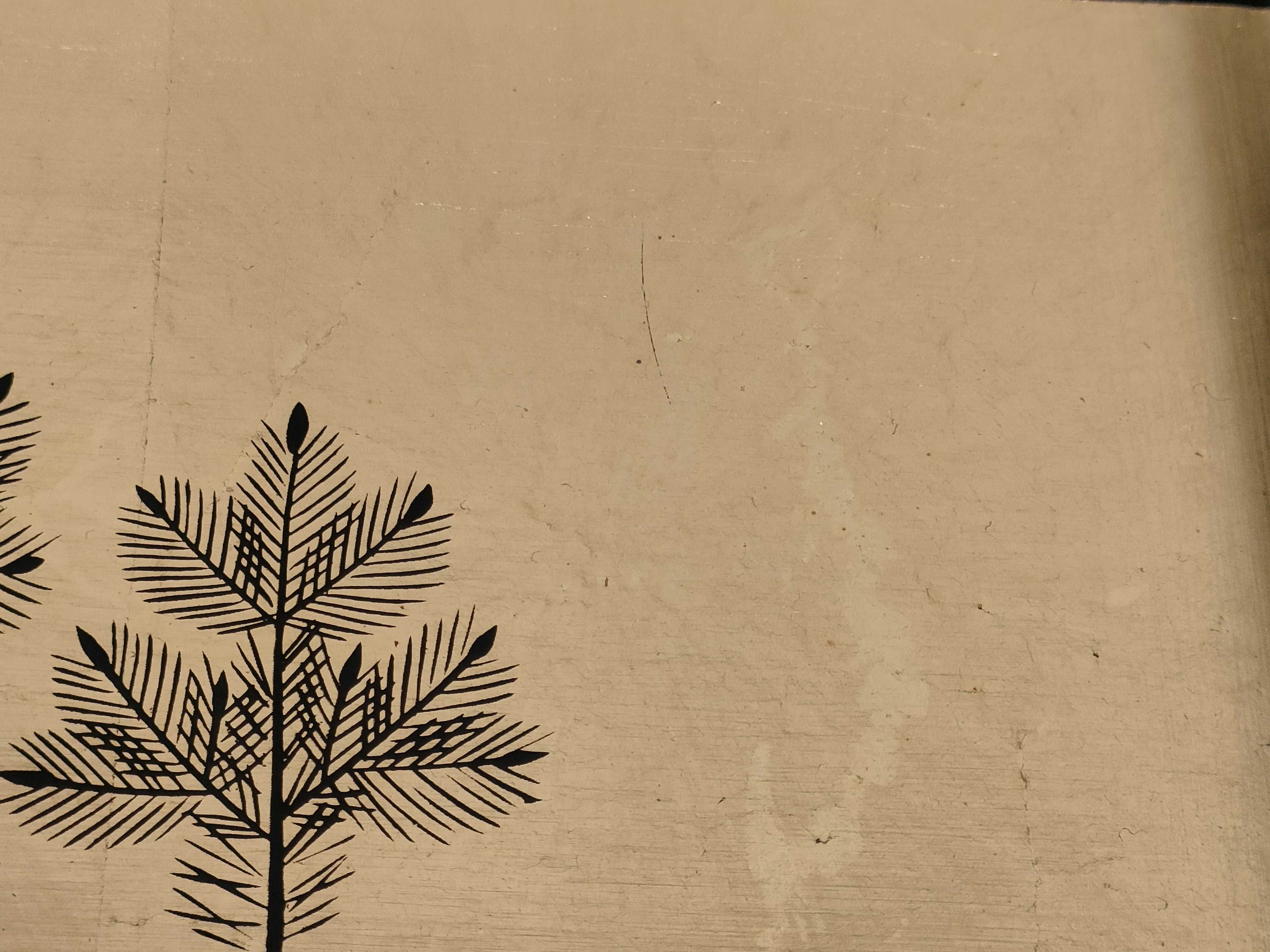 (10931_0845)▼木箱 金帯松 お手許箱 その他小物