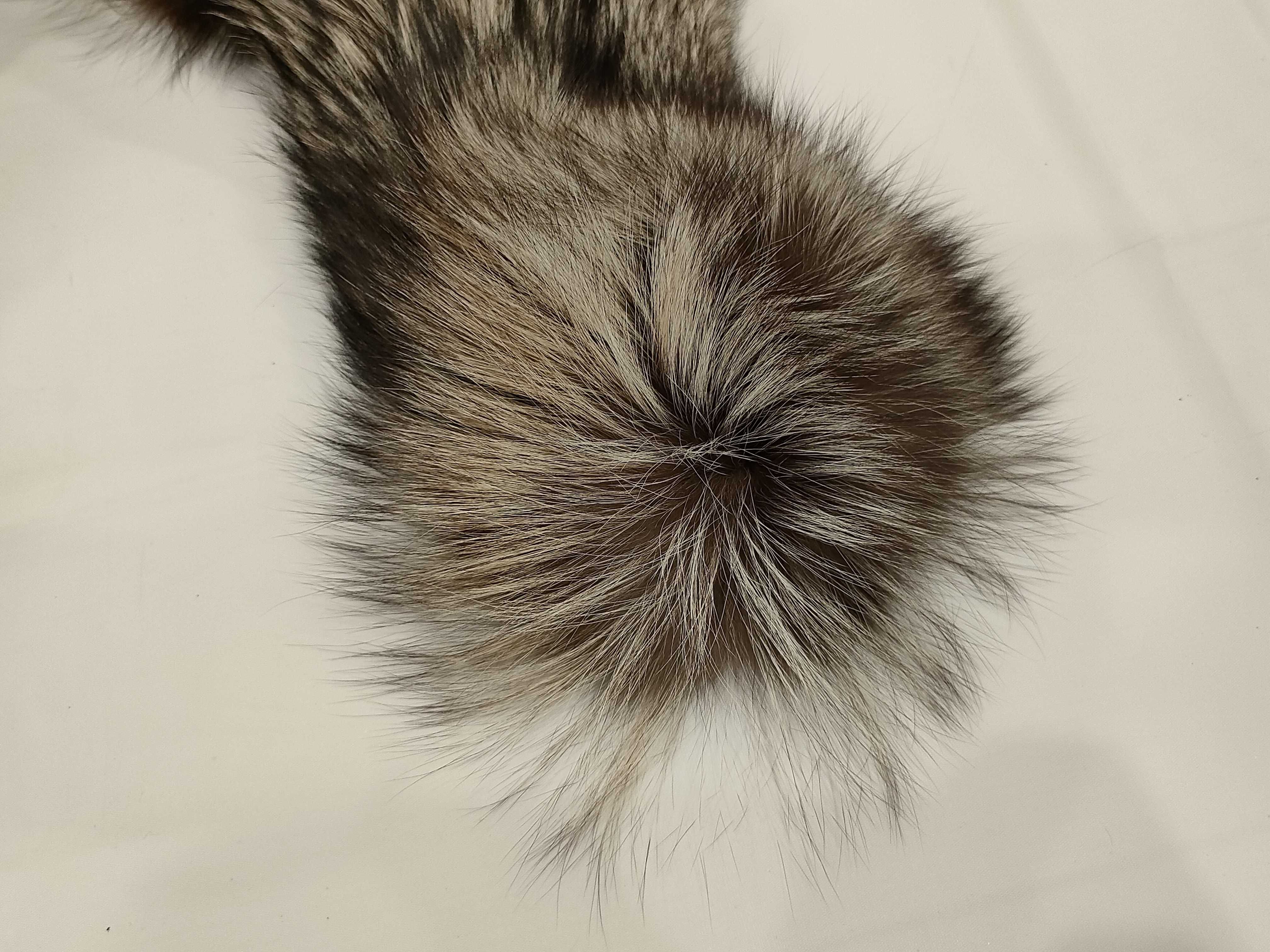 (10931_0870)▼サガフォックス等毛皮3点 その他小物